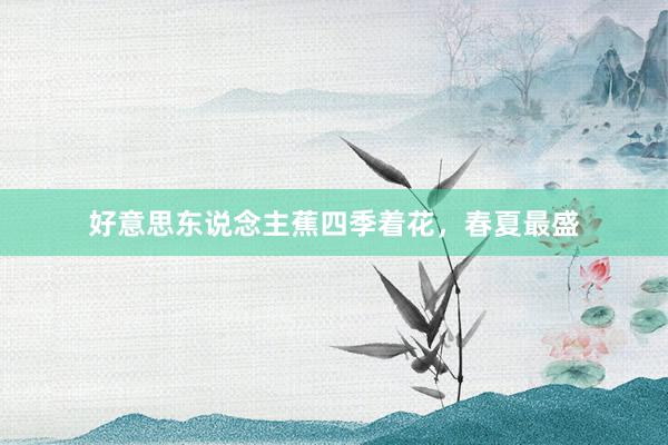 好意思东说念主蕉四季着花，春夏最盛