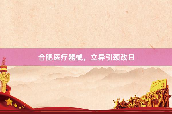 合肥医疗器械,立异引颈改日
