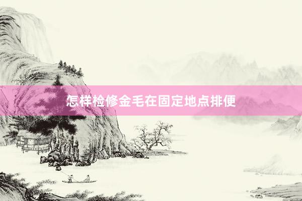 怎样检修金毛在固定地点排便