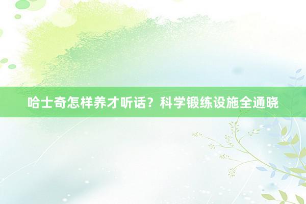 哈士奇怎样养才听话？科学锻练设施全通晓