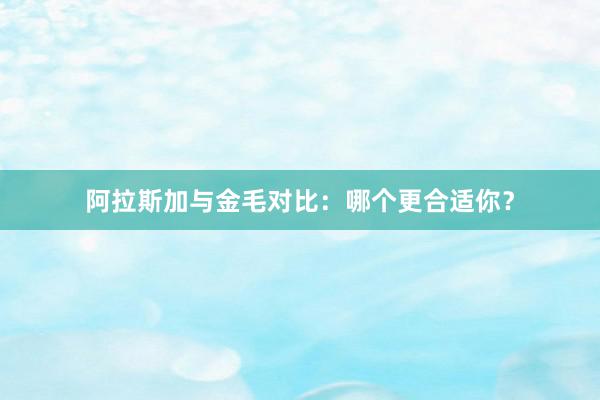 阿拉斯加与金毛对比：哪个更合适你？
