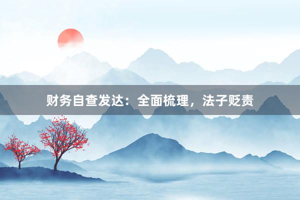 财务自查发达：全面梳理，法子贬责